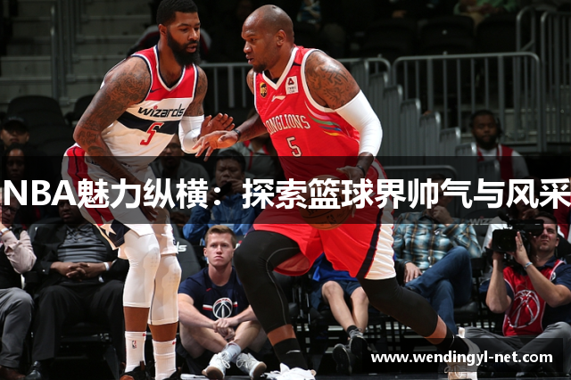 NBA魅力纵横：探索篮球界帅气与风采