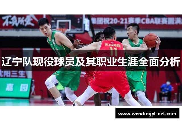辽宁队现役球员及其职业生涯全面分析