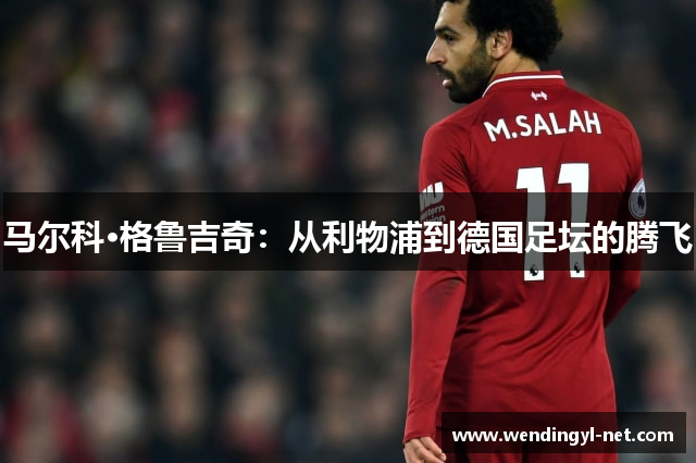 马尔科·格鲁吉奇：从利物浦到德国足坛的腾飞