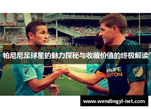 帕尼尼足球星的魅力探秘与收藏价值的终极解读