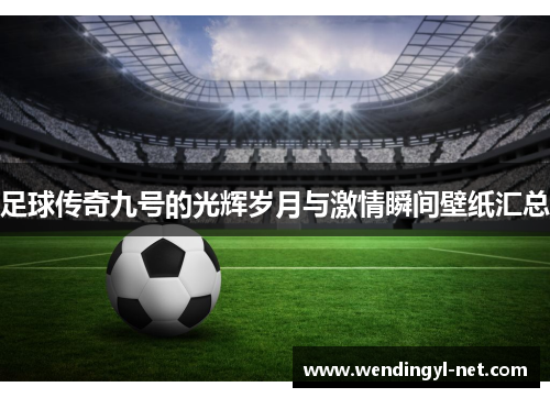 足球传奇九号的光辉岁月与激情瞬间壁纸汇总