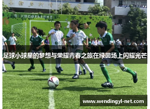 足球小球星的梦想与荣耀青春之旅在绿茵场上闪耀光芒